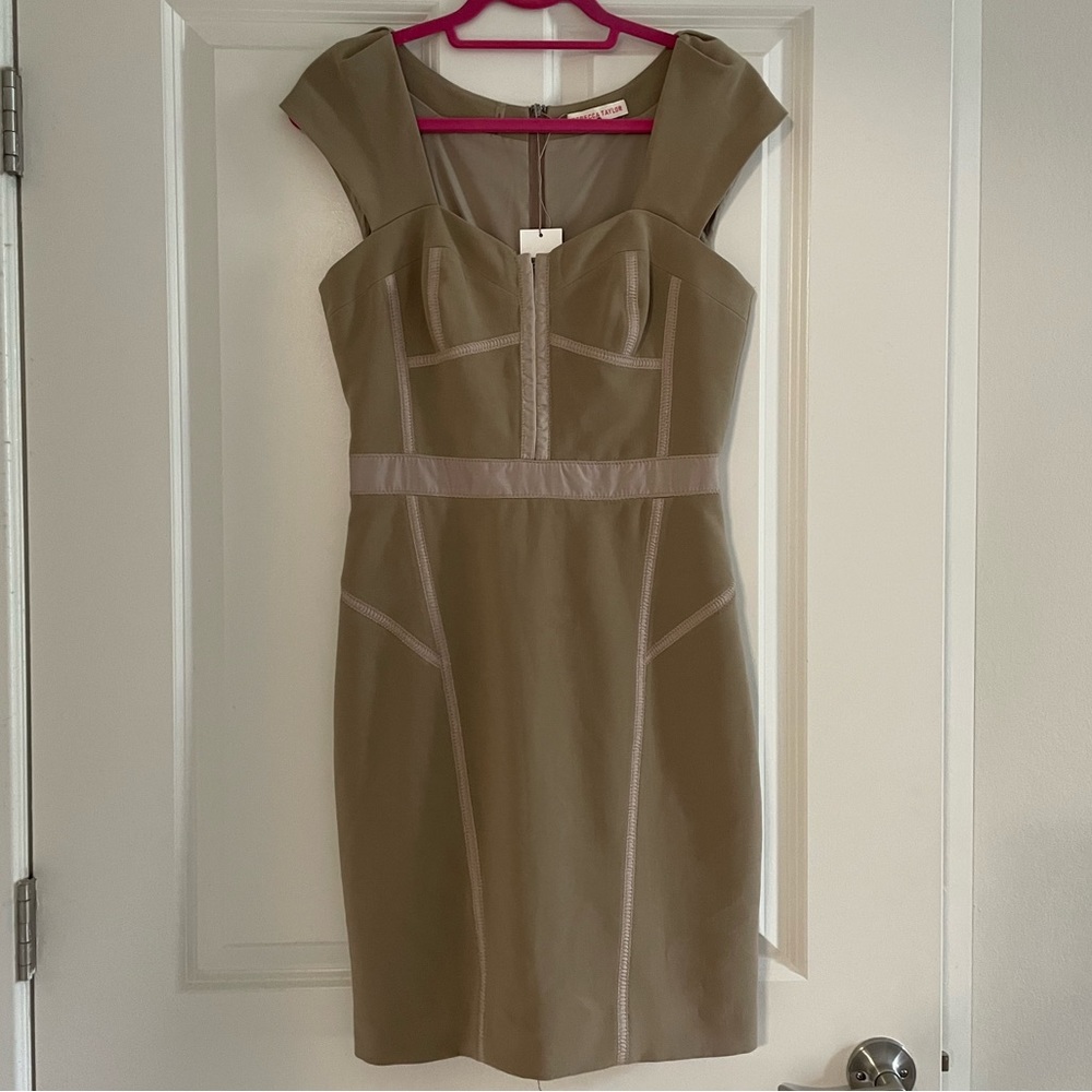 NWT Rebecca Taylor Sandstone Bustier Dress